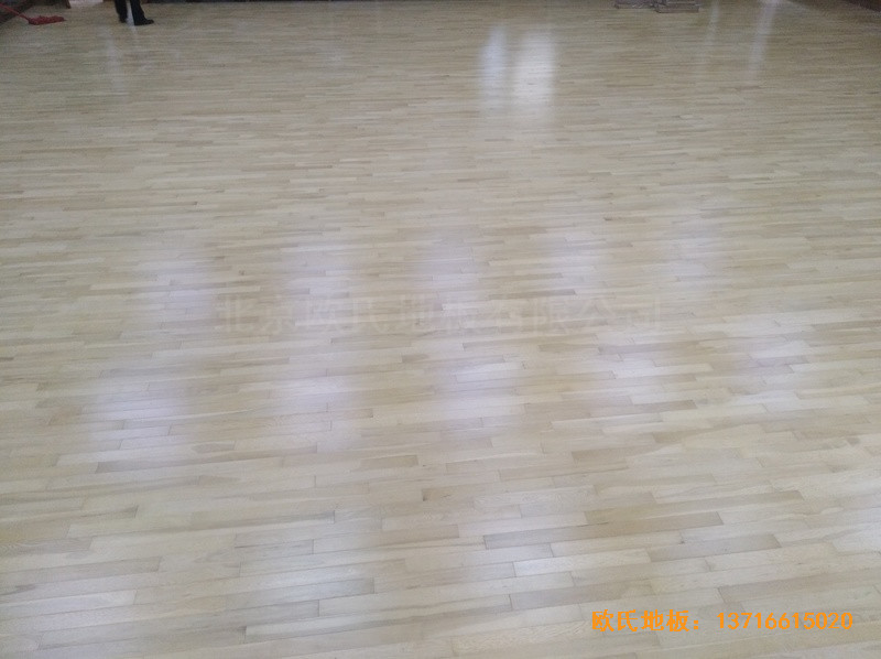 �����赸�WԺ�w��ľ�ذ���O����3
