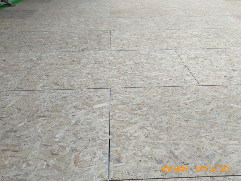 �Ͼ������w���^�w��ľ�ذ尲�b����2