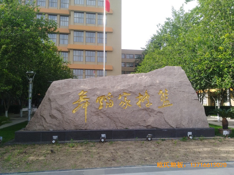 �����赸�W(xu��)Ժ�w��ľ�ذ���O(sh��)����