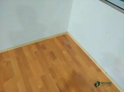 ُ(g��u)�I(m��i)��ľ���_(t��i)�w��ľ�ذ�����