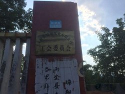 ����(bi��o)�w���@��ľ�ذ�ʩ��