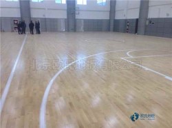 ���Ռ������_(t��i)�w���\(y��n)��(d��ng)ľ�ذ��Ă�(g��)���Ӻ�